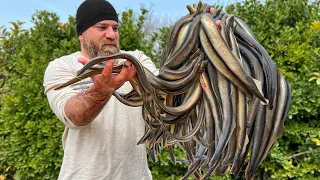 Outdoor Cooking Exotic Eel, Sea Octopus, Crayfish and more! Recipes Compilation By Kanan Badalov