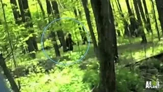 Two Kids, a Camera and a Bigfoot | Finding Bigfoot