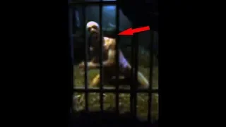 Top 10 Mysterious Creatures Caught On Camera Unbelievable Creatures