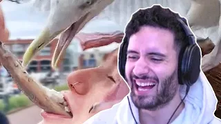 NymN DIES LAUGHING at UNUSUAL MEMES V209