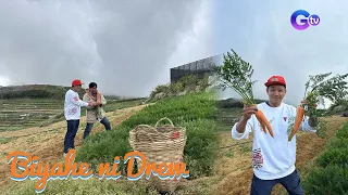 ‘Farmer for a day’ experience sa Benguet! | Biyahe ni Drew