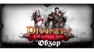 Divinity: Original Sin. Обзор