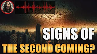 Massive Insect Swarms in Europe and Eerie Sounds in Jerusalem: Signs of the Second Coming?