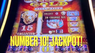 Buffalo Gold 15 Head Massive Jackpot Win!!!