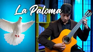 La Paloma - Performed by Alejandro Aguanta - Classical guitar