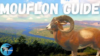 Cuatro Colinas Iberian Mouflon Zone Guide! TheHunter Call Of The Wild 2023