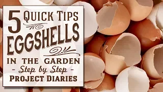 ★ How to: Use Eggshells in the Garden (5 Quick Tips)