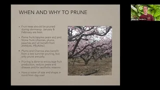 Pruning and Care of Fruit Trees