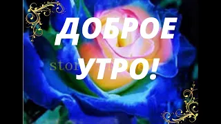 Доброе утро! С добрым зимним утром! Пожелание с Добрым Утром!Музыкальная открытка с Добрым утром!