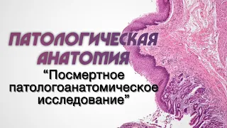 Клиническая патологическая анатомия №3 "Посмертное патологоанатомическое исследование"