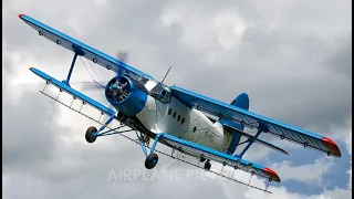 Antonov AN 2 YR-PNG  in Timisoara im Einsatz