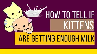 How to Tell If Kittens Are Getting Enough Milk?