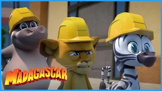 DreamWorks Madagascar | Cinema mission | Madagascar: A Little Wild | Kids Movies