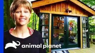 Grace VanderWaal Gets The Ultimate Chilled Out Clubhouse | Treehouse Masters