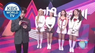 Interview - Apink (초롱), Red Velvet (아이린), TWICE (나연) & OH MY GIRL (아린) [2019 KBS Song Festival]