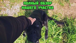 ПОЛНЫЙ ОБЗОР НАШЕГО УЧАСТКА И ХОЗЯЙСТВА!