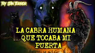 EXPERIENCIAS EXTRAÑAS CON PERROS ACTUANDO COMO HUMANOS PARTE 3