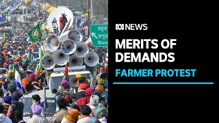 Critic questions merits of demands from Indian farmers marching on New Delhi | ABC News