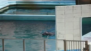 Two Months After This Aquarium Was Abandoned, Animal Activists Made A Chilling Discovery