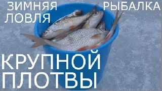 Зимняя рыбалка.Ловля крупной плотвы на Яузском водохранилище