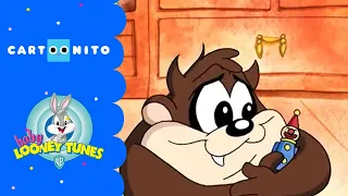 Baby Looney Tunes | Das unzerstörbare Spielzeug | Cartoonito