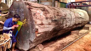 The largest tree on earth is bigger than your imagination and a giant circular saw