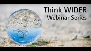 Think WIDER Webinar | Ashwini Deshpande and Janneke Pieters | Women's work