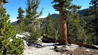 Deer Spring via Marion Mountain Trail