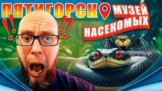 Пятигорск. Музей насекомых. Экзотариум.