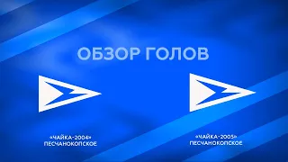 «Чайка-2004» — «Чайка-2005»  I Обзор голов (15.08.2020)