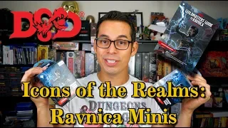 D&D - Icons of the Realms: Ravinca Miniatures Plus UMA Box Topper Winner!