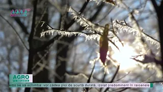 METEO. Două avertizări de la meteorologi: înghețuri și ploi – AGRO TV News