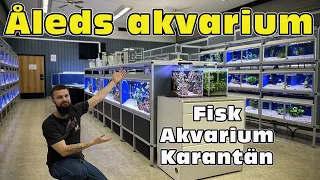 Besöker Åleds akvarium