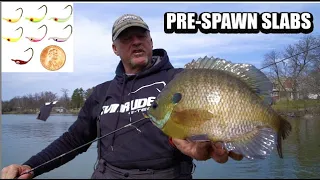 Pre Spawn Bluegill Techniques (Location, Lures)