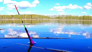 ПОДНЯЛО ПОПЛАВОК - ЭТО КАРАСЬ! Рыбалка на лесном пруду! Ловля карася на поплавочную удочку в мае!