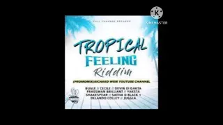 DJ BORN K - TROPICAL FEELING RIDDIM MEDLEY