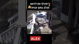 ״אין לך מה לדאוג הכלב נמצא בתוך הבית״