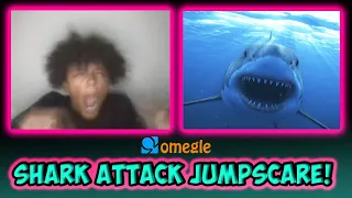 Shark Attack Jumpscare on OMEGLE!