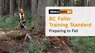 BC Faller Training Standard - Preparing to Fall (6 of 17)