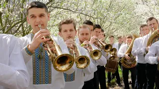 У ЧОРТКІВСЬКОМУ ПЕДКОЛЕДЖІ "ТЕРЕН ЦВІТЕ"