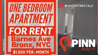 Bronx Apartment For Rent | One Bedroom Apartment Tour - Barnes Ave. Bronx, NY | Pinn Realty