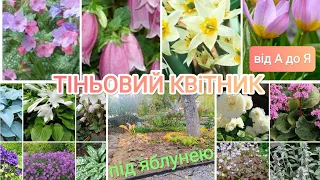 Тіньовий квітник під яблунею||З нуля||Власноруч||Від А до Я