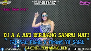 DJ A A AKU BERJUANG SAMPAI MATI X DJ TAKAN PISAH + ORANG YANG SALAH || DUGEM REMIX TERBARU 2024