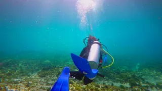 Mexico, Isla Mujeres, Punta Sur, drift dive with Franek, 2018-07-18