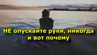 НЕ опускайте руки, никогда. и вот 3 причины