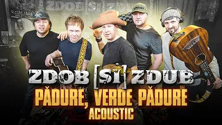 Zdob şi Zdub — Pădure, verde pădure (acoustic live)