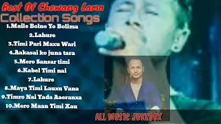 Chhewang Lama Best Songs Collection || All Top Songs || Audio Jukebox [Best of Chhewang Lama]