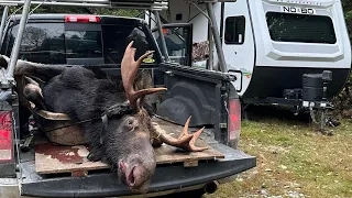 Maine Moose Hunt - October 2023