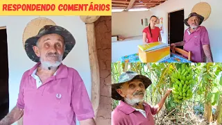 Respondendo Comentários +Recebidos do Canal +Colheita de Banana estava Maduras Dia Abençoado