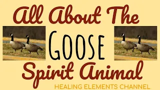 💐 THE GOOSE SPIRIT Animal  💐 All About The Goose Spirit 💐 SPIRIT ANIMAL TOTEM SYMBOLISM of Geese